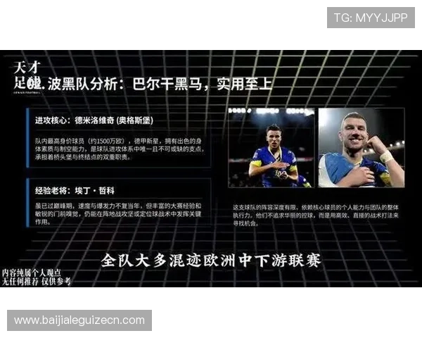 世界杯瑞士波黑比赛电视转播安排及在线观看的详细操作流程